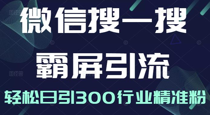 微信搜一搜霸屏引流课，打造被动精准引流系统，轻松日引300行业精准粉|小鸡网赚博客