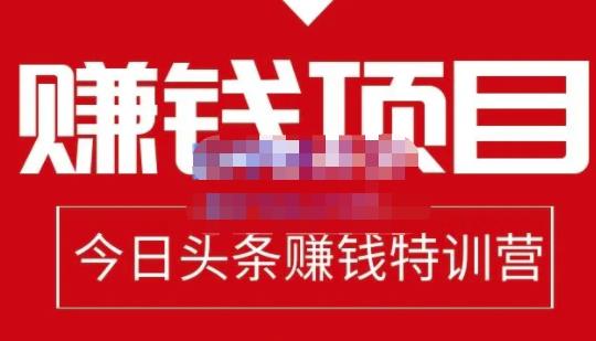 懒人领域·今日头条项目玩法，头条中视频项目，单号收益在50—500可批量|小鸡网赚博客