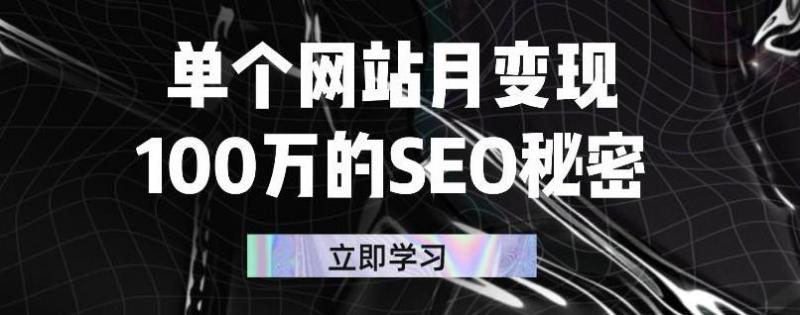 单个网站月变现100万的SEO秘密，百分百做出赚钱站点|小鸡网赚博客