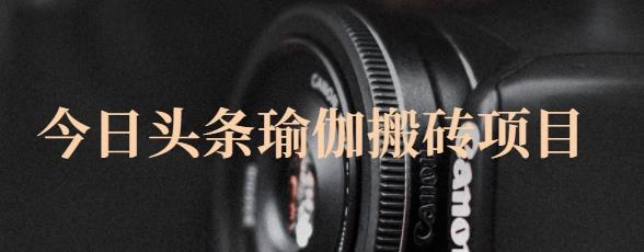 猎人社区·今日头条瑜伽搬砖项目，单号一天几十收入，可以批量操作！|小鸡网赚博客