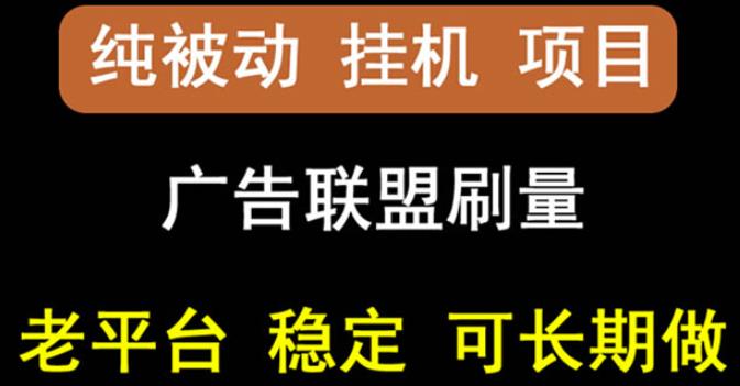 【稳定挂机】ONEPTP出海广告联盟挂机项目，每天躺赚几块钱，多台批量多赚些|小鸡网赚博客