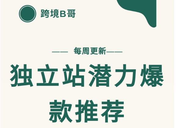 【跨境B哥】独立站潜力爆款选品推荐，测款出单率高达百分之80|小鸡网赚博客