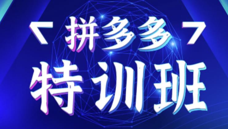 星雪教育·拼多多基础班+进阶班+突破班，用系统的学习模式快速改变现状价值3580元|小鸡网赚博客