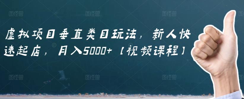 虚拟项目垂直类目玩法，新人快速起店，月入5000+【视频课程】|小鸡网赚博客