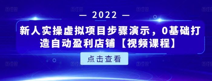 新人实操虚拟项目步骤演示，0基础打造自动盈利店铺【视频课程】|小鸡网赚博客