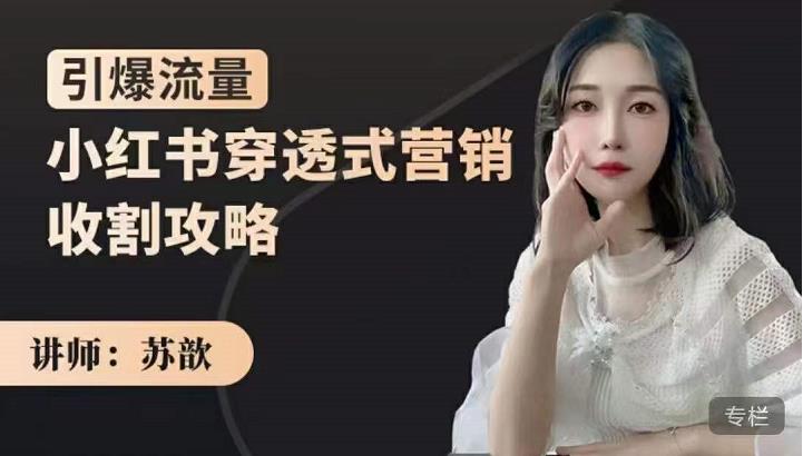 苏歆：小红书穿透式营销收割攻略，引爆流量，助你玩转小红书|小鸡网赚博客
