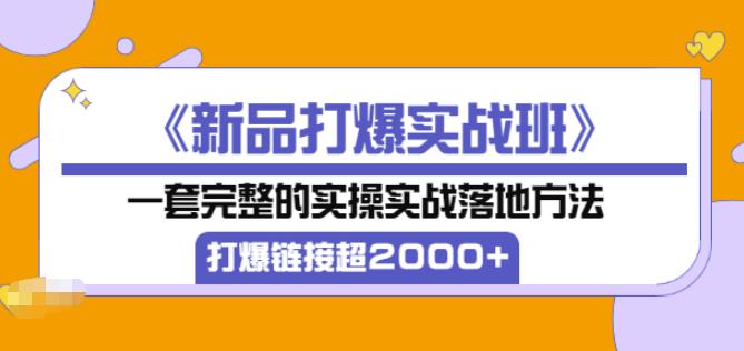 凌童《新品打爆实战班》,一套完整的实操实战落地方法，打爆链接超2000+（28节课)|小鸡网赚博客