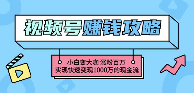 玩转微信视频号赚钱：小白变大咖涨粉百万实现快速变现1000万的现金流|小鸡网赚博客