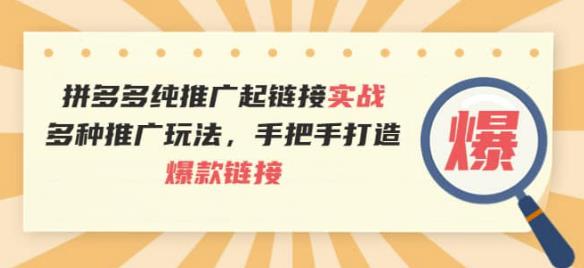 拼多多纯推广起链接实战：多种推广玩法，手把手打造爆款链接|小鸡网赚博客