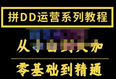 2022全套拼多多核心实操课程，从0-1轻松起链接实战，低投入高产出运作店铺|小鸡网赚博客