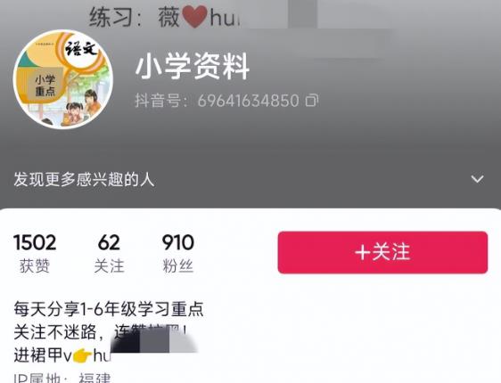 特别适合新手的实操项目，资料号引流实操变现