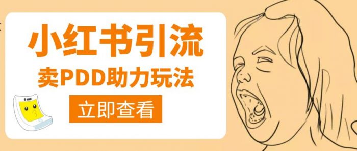 利用小红书卖拼多多助力，日赚100+，顺便还能引个流|小鸡网赚博客