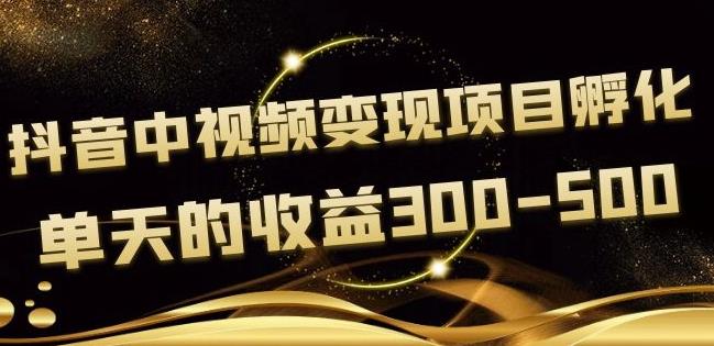黄岛主抖音中视频变现项目孵化，单天的收益300-500操作简单粗暴|小鸡网赚博客