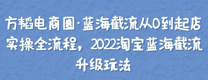 方韬电商圈·蓝海截流从0到起店实操全流程,2022淘宝蓝海截流升级玩法|小鸡网赚博客