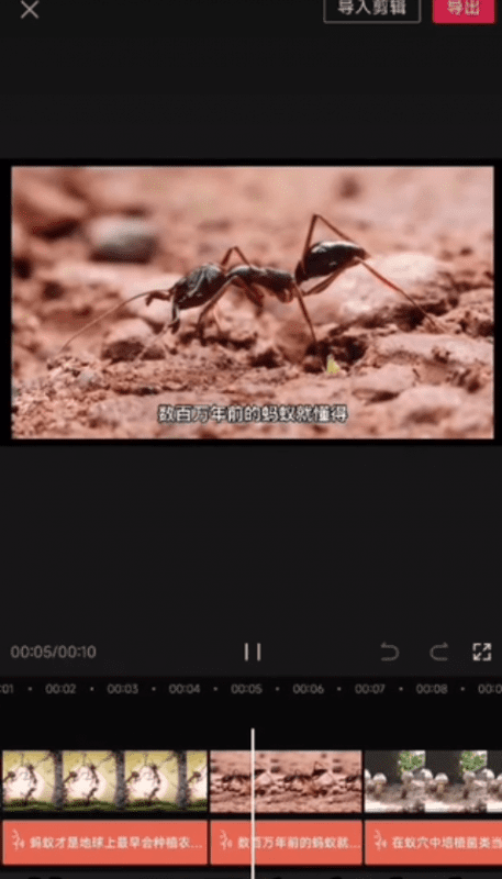 爆款冷知识短视频玩法：操作思路分享，每天10分钟轻松变现！