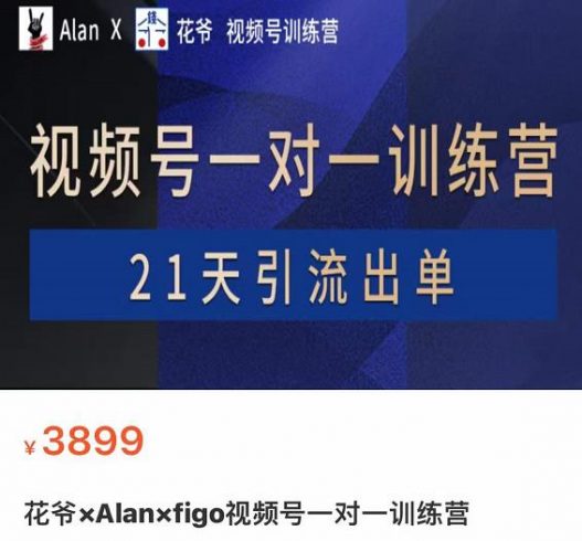 花爷×Alan×figo视频号训练营，带货，涨粉，直播，游戏，四大变现新方向，21天引流出单|小鸡网赚博客