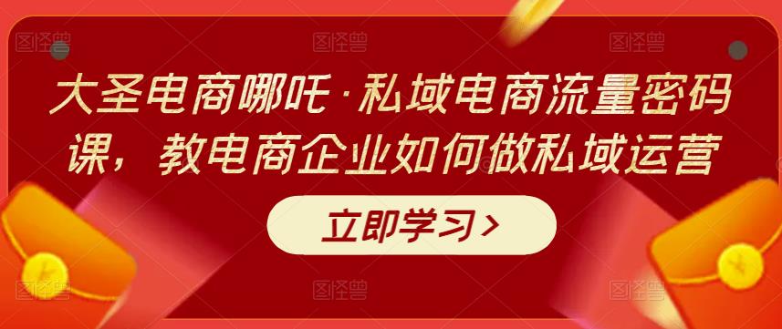 大圣电商哪吒·私域电商流量密码课，教电商企业如何做私域运营|小鸡网赚博客
