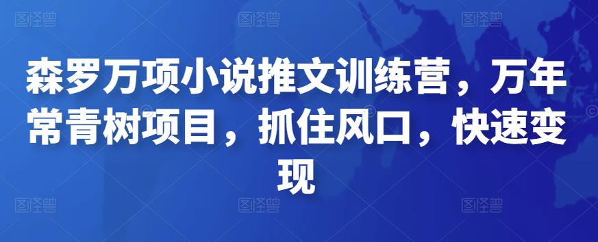 森罗万项小说推文训练营，万年常青树项目，抓住风口，快速变现|小鸡网赚博客
