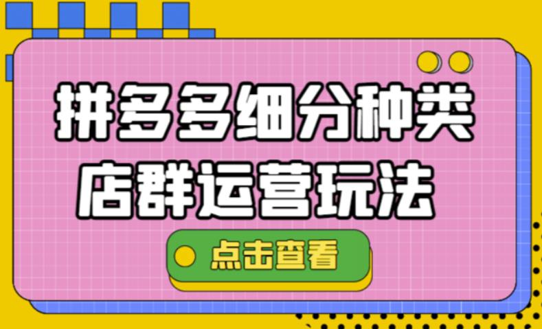 拼多多细分种类店群运营玩法3.0，11月最新玩法，小白也可以操作|小鸡网赚博客