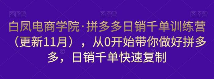 白凤电商学院·拼多多日销千单训练营（更新11月），从0开始带你做好拼多多，日销千单快速复制|小鸡网赚博客