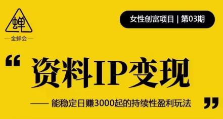 资料IP变现，能稳定日赚3000起的持续性盈利玩法|小鸡网赚博客