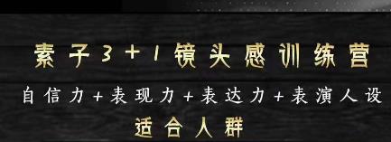 素子表现力训练营，提高自信力+表现力+表达力+表演人设，打造个人魅力ip|小鸡网赚博客