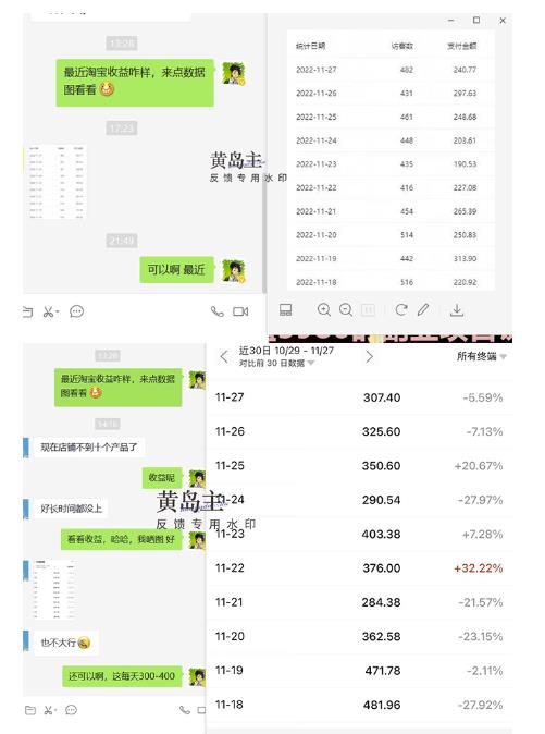 黄岛主《淘宝蓝海虚拟项目陪跑训练营6.0》每天纯利润200到1000+纯实战课|小鸡网赚博客