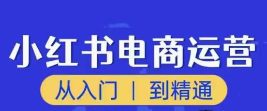 顽石小红书电商高阶运营课程，从入门到精通，玩法流程持续更新|小鸡网赚博客