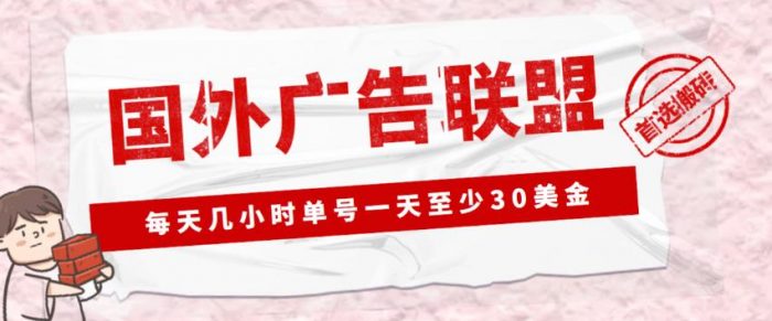 外面收费1980的最新国外LEAD广告联盟搬砖项目,单号一天至少30美金【详细玩法教程】|小鸡网赚博客