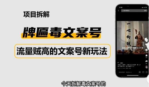 2023抖音快手毒文案新玩法，牌匾文案号，起号快易变现|小鸡网赚博客