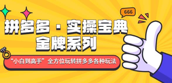拼多多·实操宝典：金牌系列“小白到高手”带你全方位玩转拼多多各种玩法|小鸡网赚博客