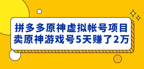 外面卖2980的拼多多原神虚拟帐号项目：卖原神游戏号5天赚了2万|小鸡网赚博客