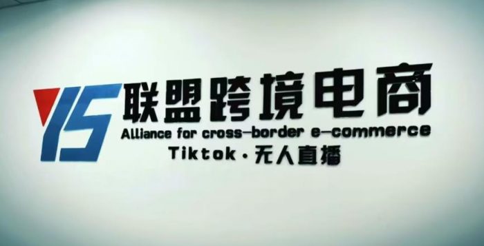 YS联盟·Tiktok无人直播,不出镜不剪辑不拍摄不发货无售后的跨境短视频躺赚玩法|小鸡网赚博客