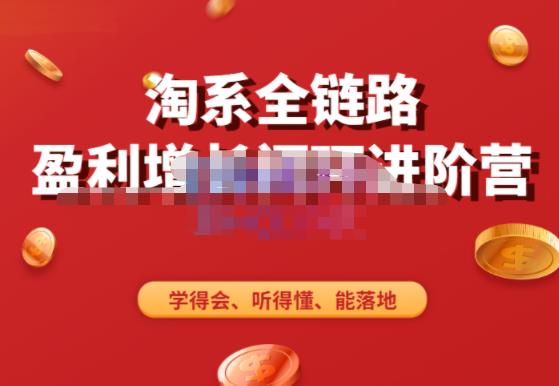 淘系全链路盈利增长闭环进阶营，融合全店动销，学得会、听得懂、能落地！|小鸡网赚博客