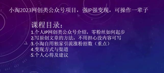 小淘2023网创类公众号项目，强IP强变现，可操作一辈子|小鸡网赚博客