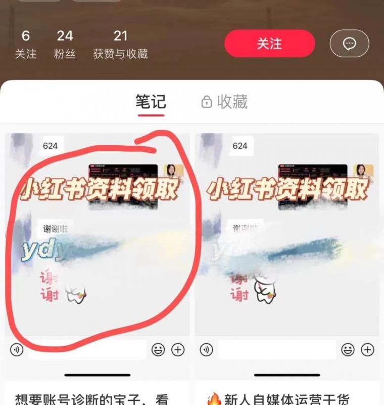 小红书虚拟资料项目实操复盘，保姆级搞钱玩法，月入2W＋！