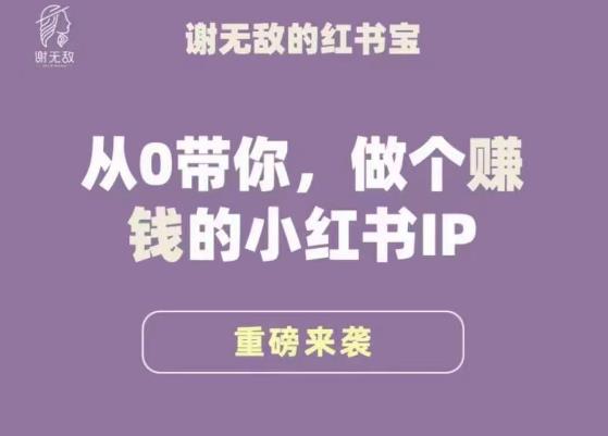 谢无敌·小红书运营大宝典，从0带你做个赚钱的小红书IP|小鸡网赚博客