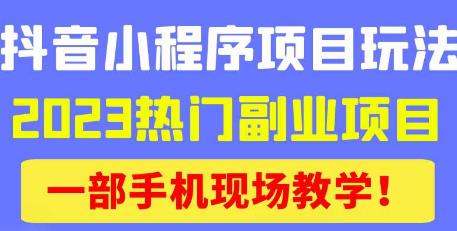 抖音小程序9.0新技巧，2023热门副业项目，动动手指轻松变现|小鸡网赚博客