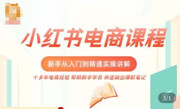 小红书电商新手入门到精通实操课，从入门到精通做爆款笔记，开店运营|小鸡网赚博客