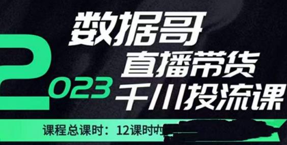 数据哥2023直播电商巨量千川付费投流实操课，快速掌握直播带货运营投放策略|小鸡网赚博客