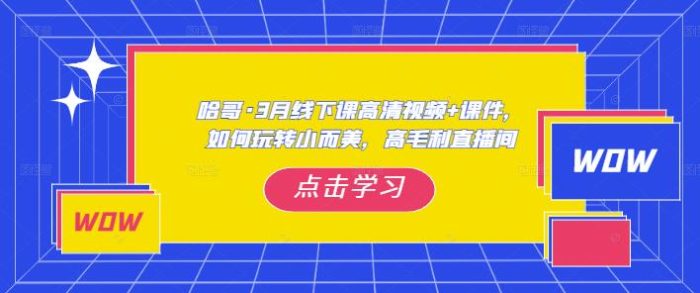 哈哥·3月线下实操课高清视频+课件，如何玩转小而美，高毛利直播间|小鸡网赚博客
