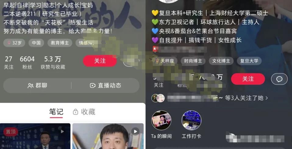 小红书个人IP模板+发布最佳时间，轻松打造高质量账号，玩法无私分享给你|小鸡网赚博客