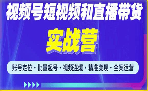 2023最新微信视频号引流和变现全套运营实战课程，小白也能玩转视频号短视频和直播运营|小鸡网赚博客