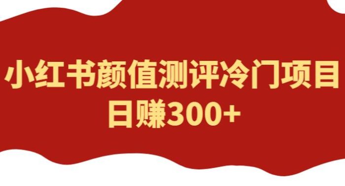 外面1980的项目,小红书颜值测评冷门项目,日赚300+【揭秘】|小鸡网赚博客