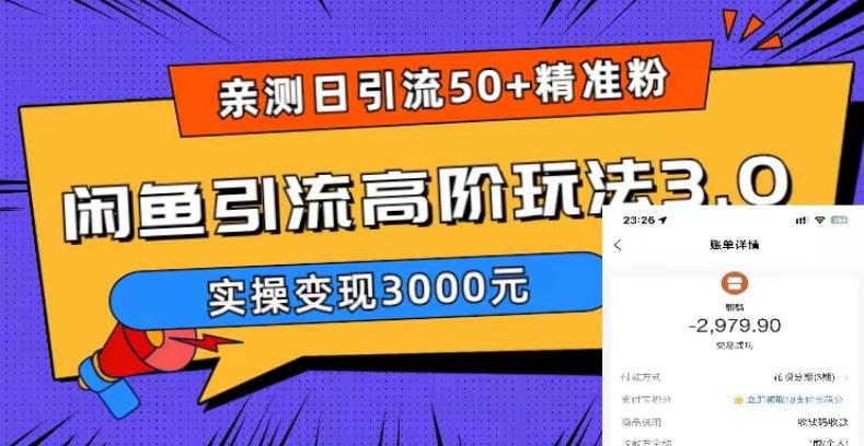 亲测日引50+精准粉，闲鱼引流高阶玩法3.0，实操变现3000元【揭秘】|小鸡网赚博客