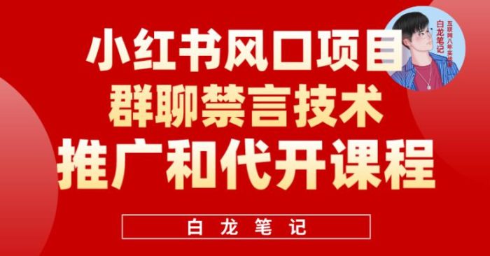 小红书风口项目日入300+,小红书群聊禁言技术代开项目,适合新手操作|小鸡网赚博客