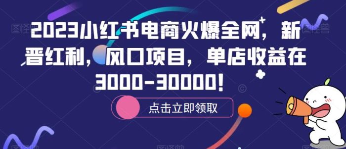 2023小红书电商火爆全网,新晋红利,风口项目,单店收益在3000-30000!|小鸡网赚博客