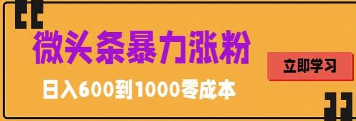 微头条暴力涨粉技巧搬运文案就能涨几万粉丝，简单0成本，日赚600【揭秘】|小鸡网赚博客