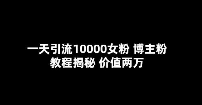 一天引流10000女粉，博主粉教程揭秘（价值两万）|小鸡网赚博客