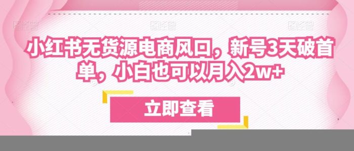 众狼电商余文小红书无货源电商风口，新号3天破首单，小白也可以月入2w+|小鸡网赚博客
